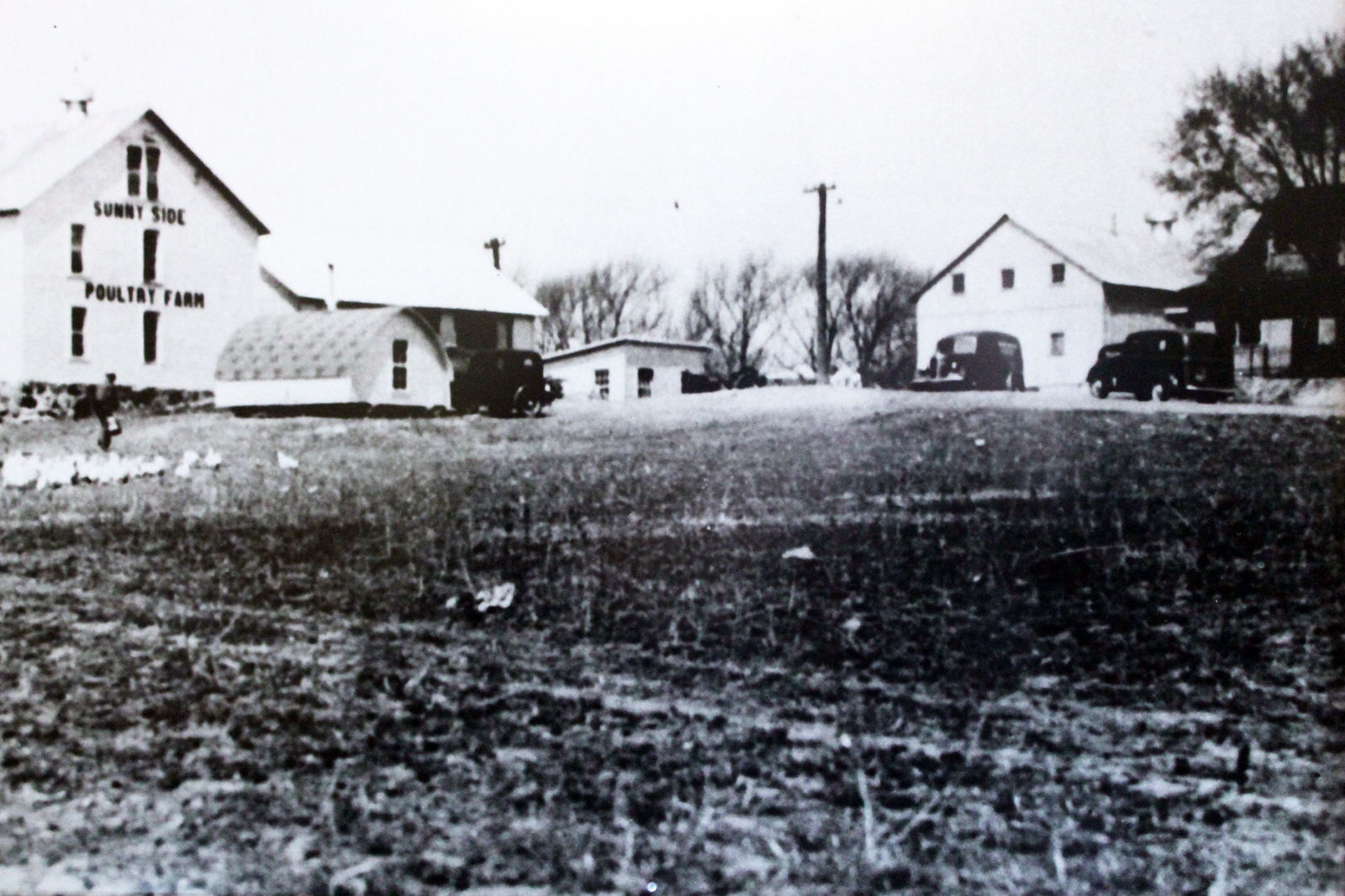 Waunakee farm
